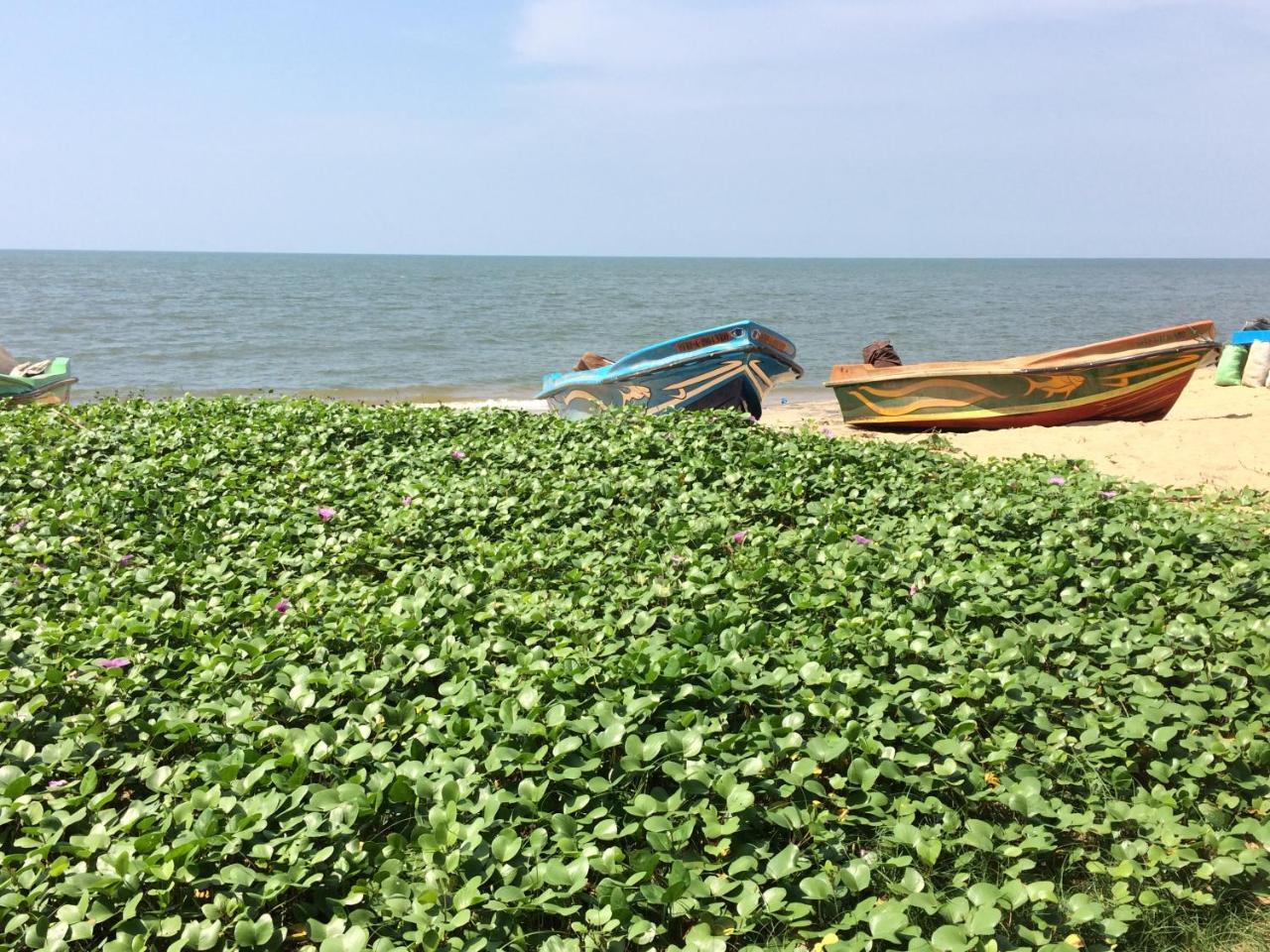 The Alexis'S Guest House Negombo Esterno foto